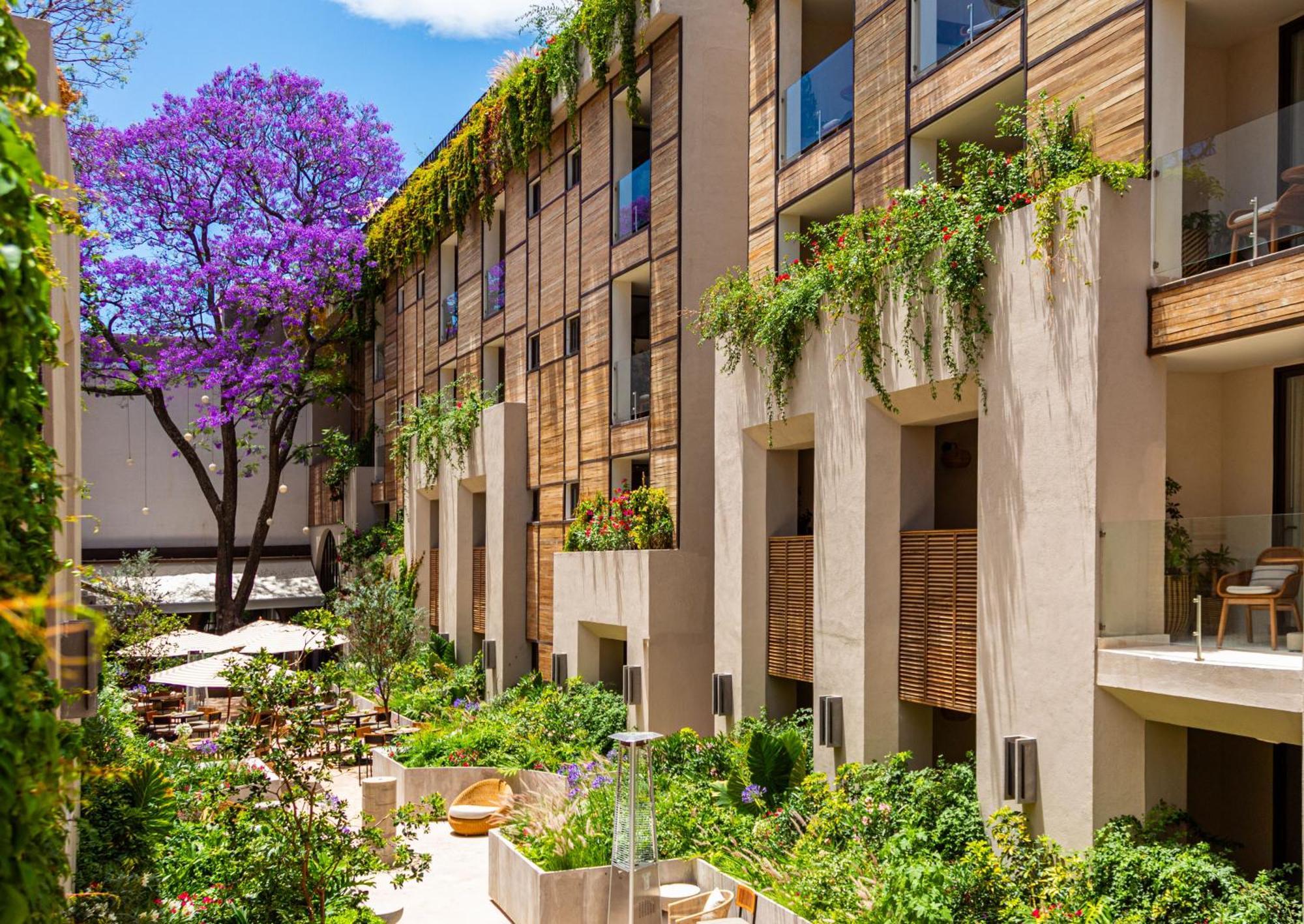 Numu Boutique Hotel, The Unbound Collection By Hyatt San Miguel de Allende Exterior foto